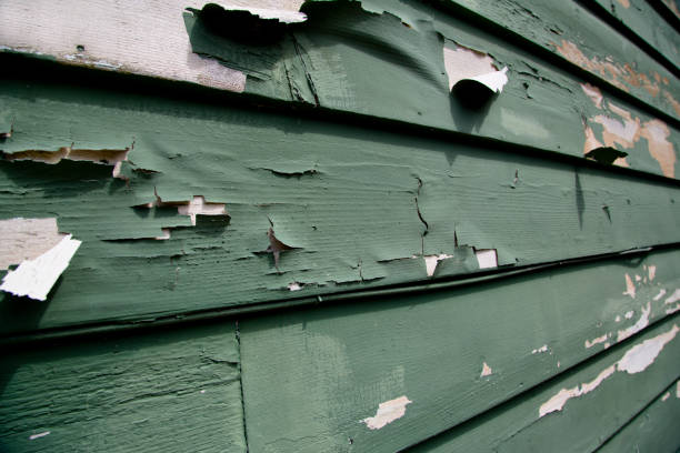 Best Commercial Junk Removal  in Poquott, NY